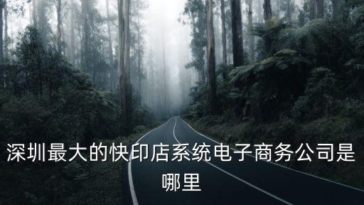 深圳最大的快印店系統電子商務公司是哪里
