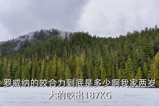 羅威納的咬合力到底是多少啊我家兩歲大的咬出187KG