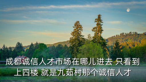 成都誠信人才市場在哪兒進去 只看到上四樓 就是九茹村那個誠信人才