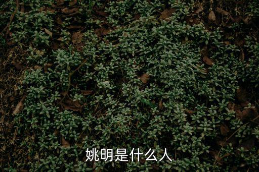 姚明是什么人