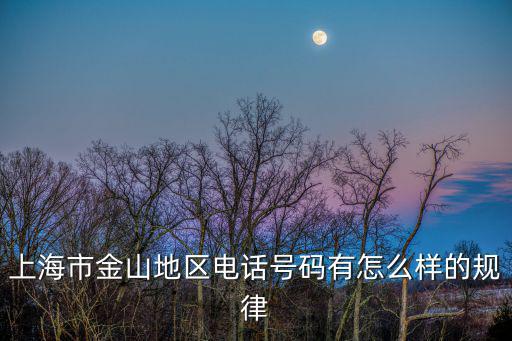 上海市金山區數字中心電話號碼，上海金山區坐機電話是幾開頭的
