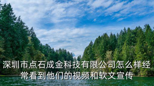 深圳市點石集團，我在一家深圳公司上班但是由于此公司倒閉在深圳的開發部和銷