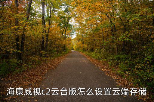 海康云存儲怎么設置，海康威視c2云臺版怎么設置云端存儲