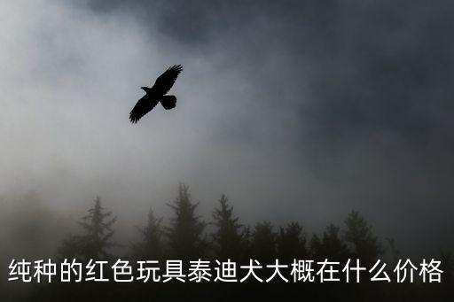 純種的紅色玩具泰迪犬大概在什么價格
