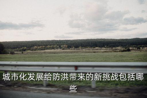 城市化發展給防洪帶來的新挑戰包括哪些