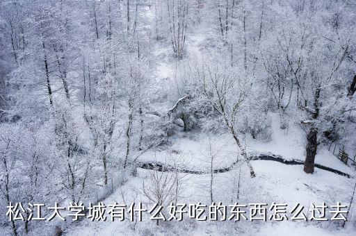 松江大學城有什么好吃的東西怎么過去