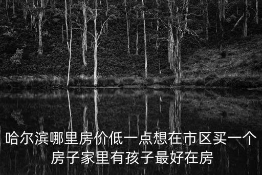 哈爾濱哪里房價低一點想在市區買一個 房子家里有孩子最好在房