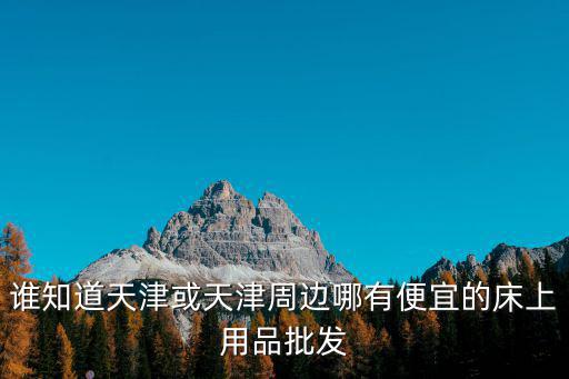 天津市床上用呂商場，誰知道天津或天津周邊哪有便宜的床上用品批發(fā)