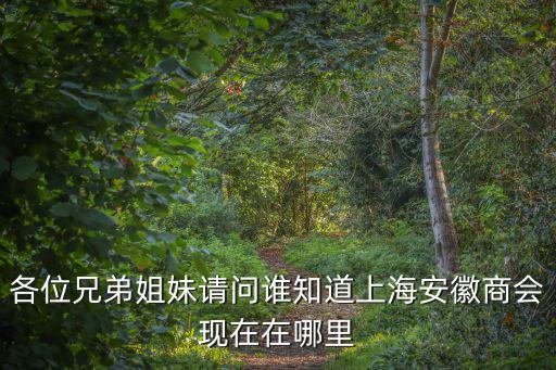 各位兄弟姐妹請問誰知道上海安徽商會現(xiàn)在在哪里