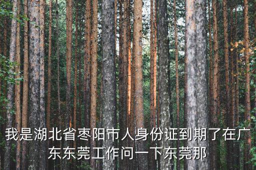 東莞天佑武漢朗誦視頻下載，武漢市到東莞市有幾公里