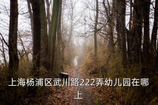 上海楊浦區武川路222弄幼兒園在哪上
