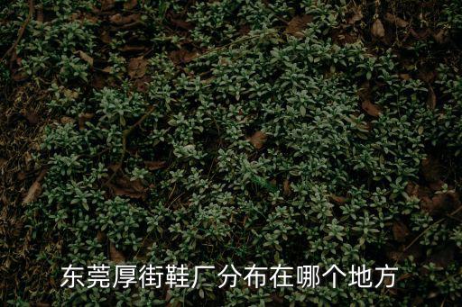 東莞厚街順亨鞋廠，東莞厚街鞋廠分布在哪個地方