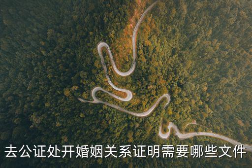 去公證處開(kāi)婚姻關(guān)系證明需要哪些文件