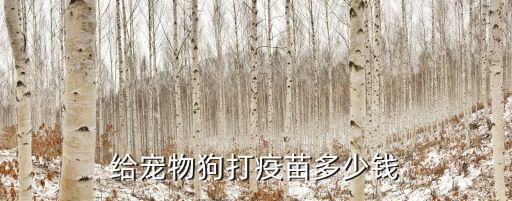 給寵物狗打疫苗多少錢