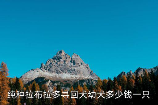拉布拉多雜交多少錢一只，請問一下金毛和拉布拉多生的混血兒能買多小錢一只