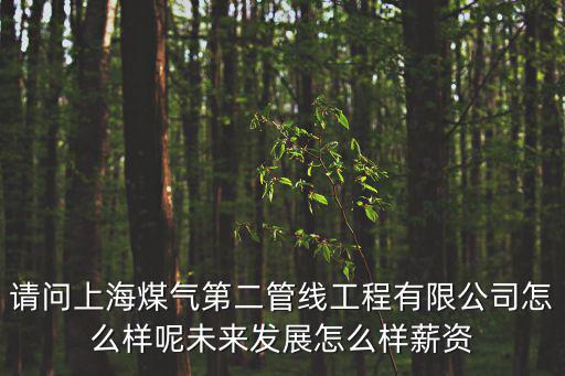 請問上海煤氣第二管線工程有限公司怎么樣呢未來發展怎么樣薪資