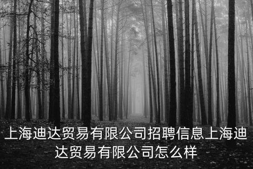 上海迪達貿易有限公司招聘信息上海迪達貿易有限公司怎么樣