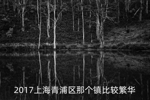 2017上海青浦區那個鎮比較繁華