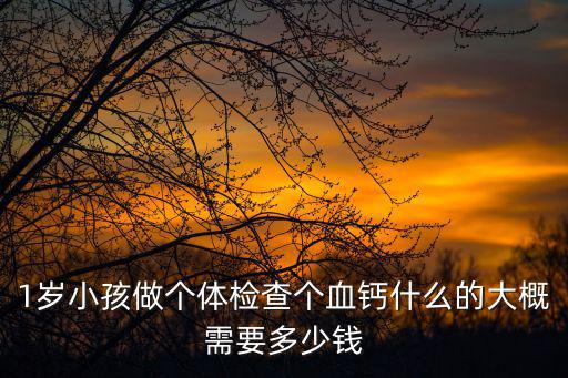 1歲小孩做個體檢查個血鈣什么的大概需要多少錢