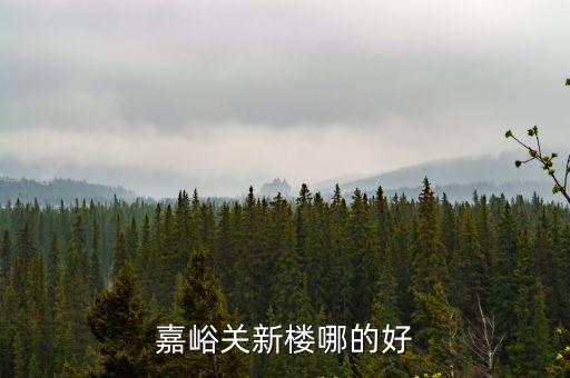 嘉峪關新樓哪的好