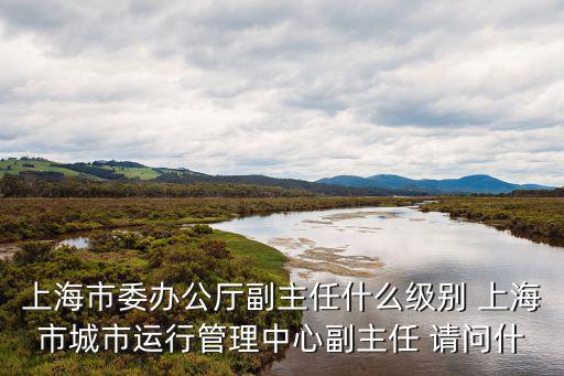 上海市城市管理委員會級別，上海市委辦公廳副主任什么級別 上海市城市運行管理中心副主任 請問什