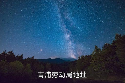 青浦勞動局地址