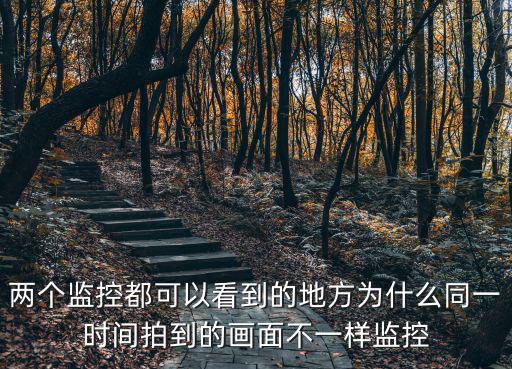 兩個監(jiān)控都可以看到的地方為什么同一時間拍到的畫面不一樣監(jiān)控