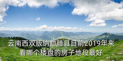 云南西雙版納勐臘縣目前2019年來看哪個樓盤的房子地段最好