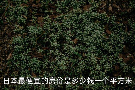 日本最便宜的房價(jià)是多少錢一個(gè)平方米