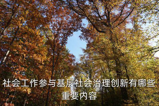 社會工作參與基層社會治理創新有哪些重要內容