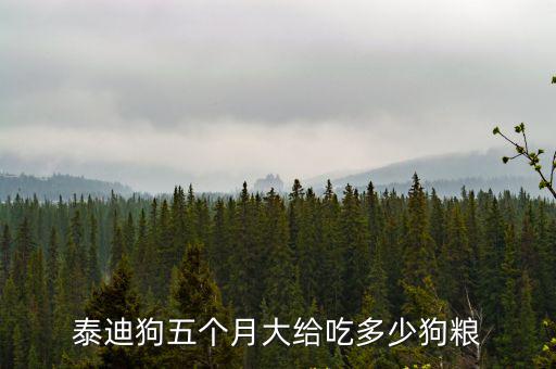 泰迪狗五個(gè)月大給吃多少狗糧