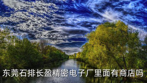 東莞石排長(zhǎng)盈精密電子廠里面有商店嗎