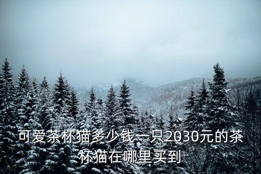 可愛茶杯貓多少錢一只2030元的茶杯貓?jiān)谀睦镔I到
