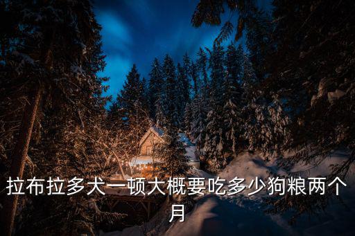 拉布拉多犬一頓大概要吃多少狗糧兩個月