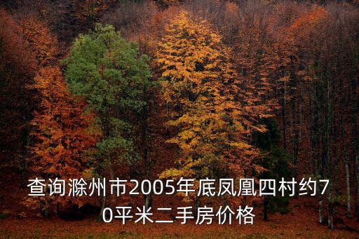查詢滁州市2005年底鳳凰四村約70平米二手房價格