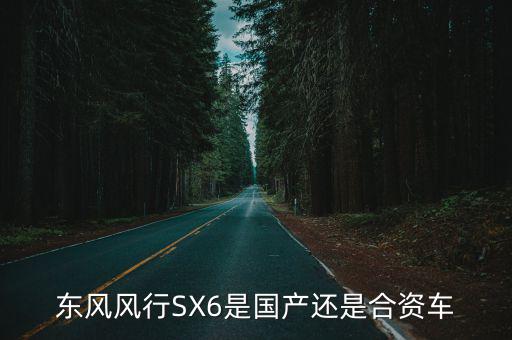東風風行SX6是國產還是合資車