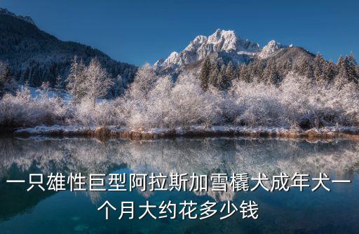 養巨型阿拉斯加能賺多少錢，這只巨型阿拉斯加值多少錢 50天20斤