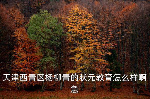 天津西青區楊柳青的狀元教育怎么樣啊急