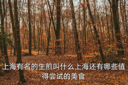 上海有名的生煎叫什么上海還有哪些值得嘗試的美食