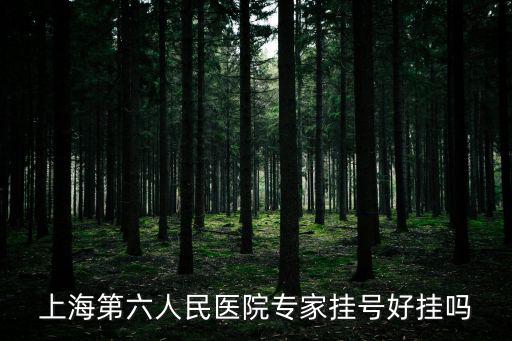 上海第六人民醫院專家掛號好掛嗎