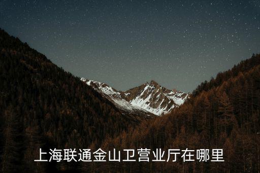 上海市金山區龍勝路58號，石化工業學校在那里