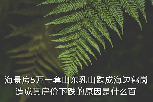 海景房5萬一套山東乳山跌成海邊鶴崗造成其房價下跌的原因是什么百
