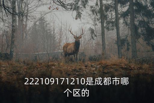 222109171210是成都市哪個區的