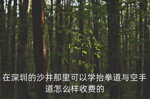 在深圳的沙井那里可以學抬拳道與空手道怎么樣收費的