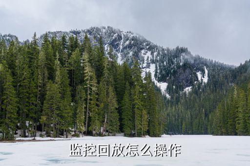監(jiān)控回放怎么操作