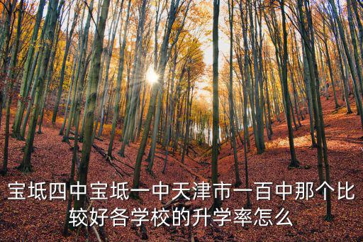 寶坻四中寶坻一中天津市一百中那個比較好各學校的升學率怎么