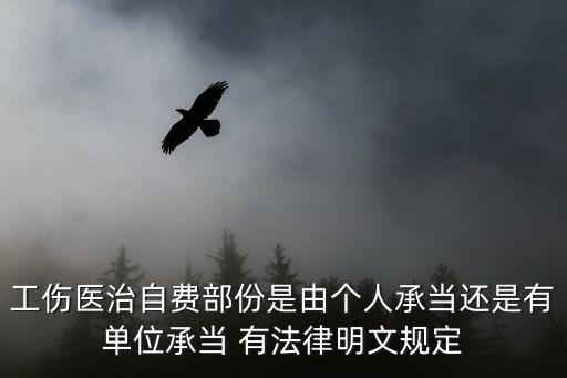 工傷醫治自費部份是由個人承當還是有單位承當 有法律明文規定