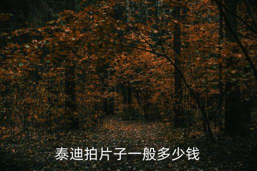 泰迪拍片子一般多少錢