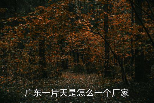 廣東一片天是怎么一個(gè)廠家