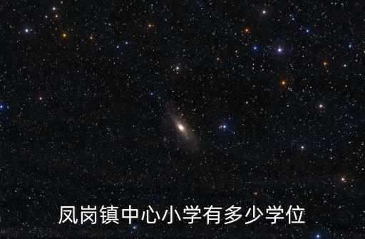 鳳崗鎮中心小學有多少學位